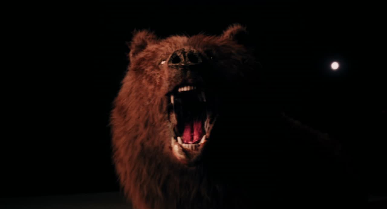 Teddy vs Bear